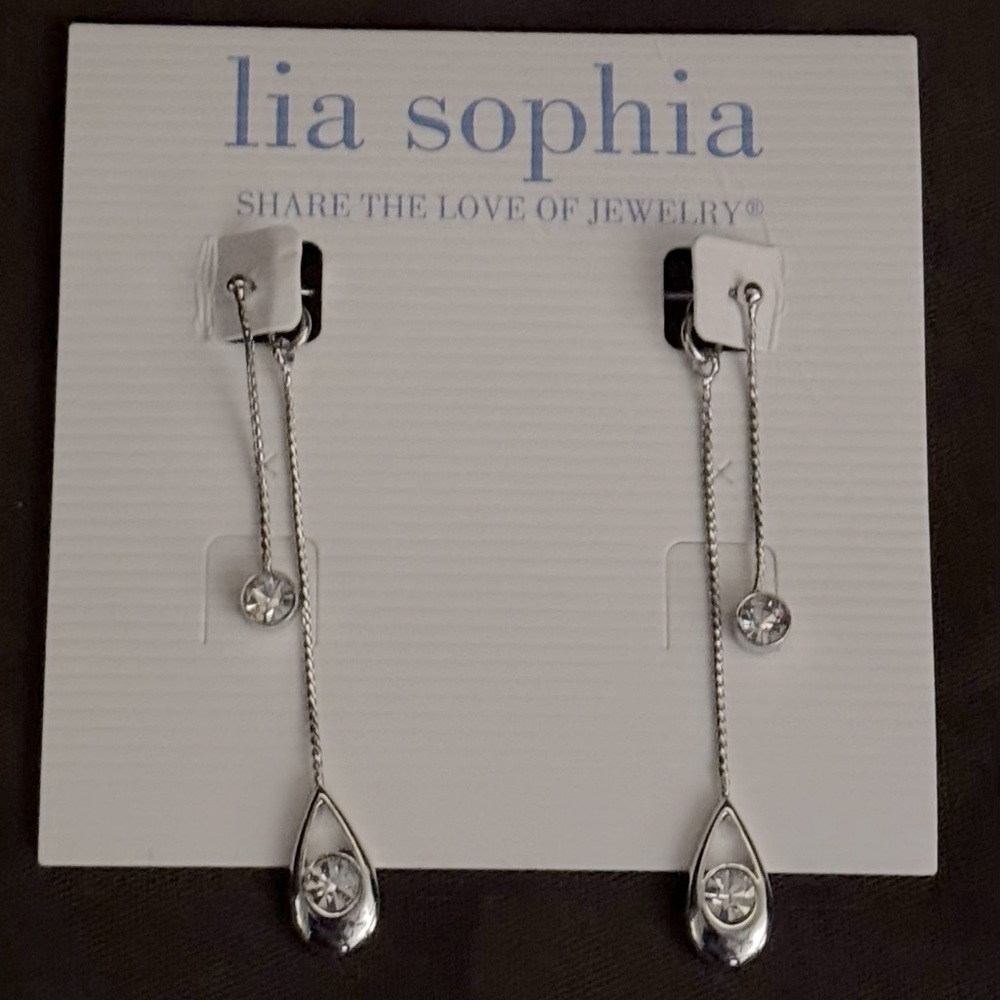 Women’s silver earrings